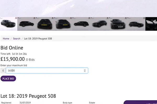 Bidding in Timed Online Auctions